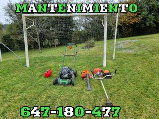 PODA DE SETOS PALMERAS DESBROCE