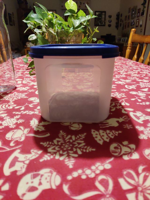 Contenitore Tupperware