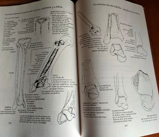 Libros curso profesional quiromasaje