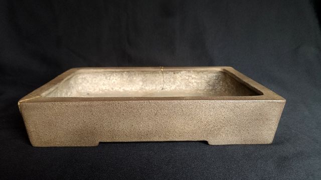 Maceta bonsai Yamaaki Tosio