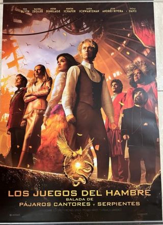 Póster Los juegos del hambre