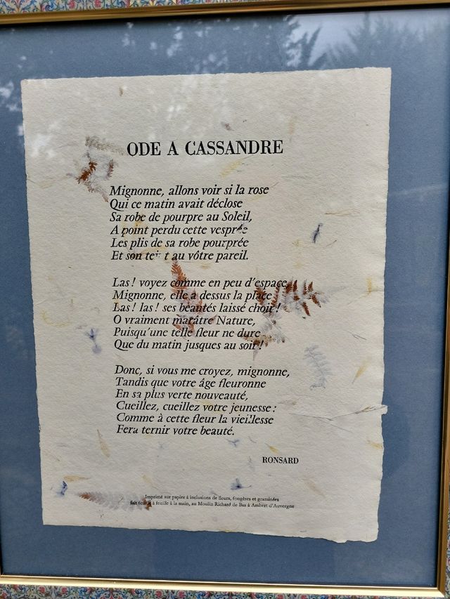 Antiguo poema francés enmarcado