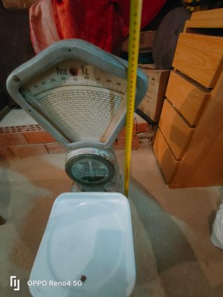 Bascula mobba antigua