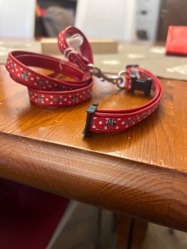 guinzaglio e collare 