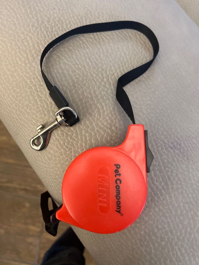 guinzaglio allungabile x cani piccola taglia 