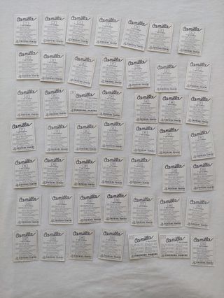 Figurine Camilla - Panini 1984