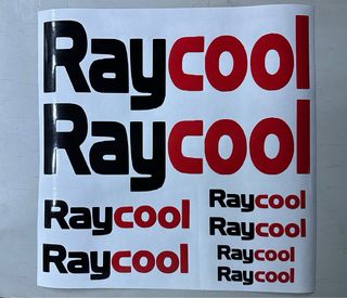 Raycool Patinete Electrico Pegatinas 