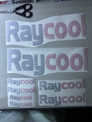 Raycool Patinete Electrico Pegatinas 