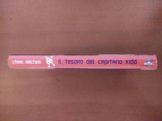 Il tesoro del capitano Kidd