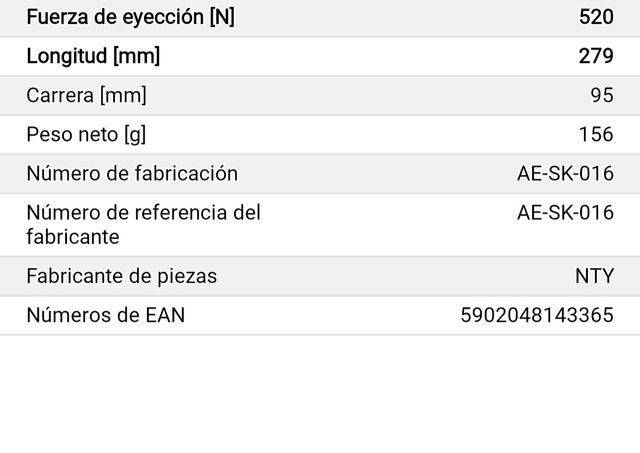 Amortiguador de Maletero 