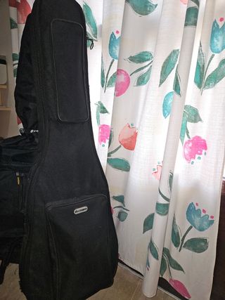 Guitarra y bajo