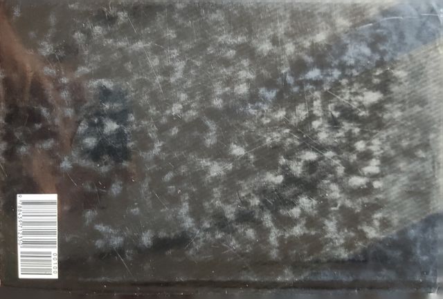 Memorias de un hombre invisible