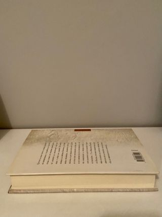 Libro Rabos de lagartija