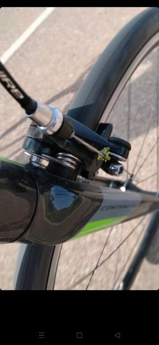GIANT CONTEND SL