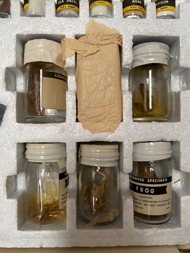 Microscopio didactico x900