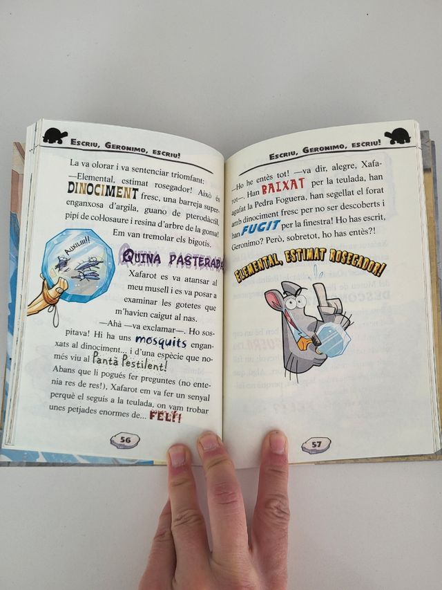 Libro Fora les potes de la pedra foguera