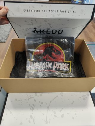 Zapatillas Jurassic Park + Camiseta