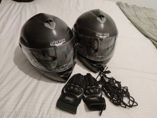 Cascos shark