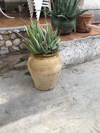 Tinaja de barro antigua