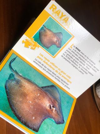 Cuento de 5 puzles !