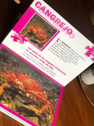 Cuento de 5 puzles !