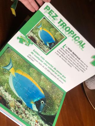 Cuento de 5 puzles !