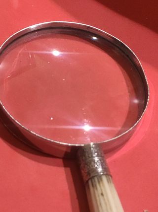 Gran Lupa S.XIX en plata y hueso