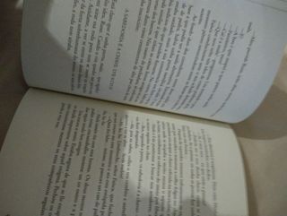 Anxo Fariña Mega toxos