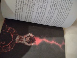 Anxo Fariña Mega toxos