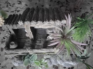 Caseta adorno pecera