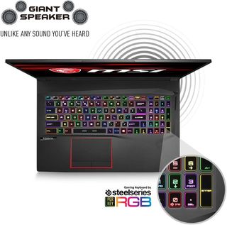 MSI GE75 Raider-023 17.3" Ultra Thin Bezel Gaming