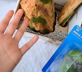 Piedras NUEVAS PECERA