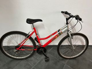 Bicicleta de paseo