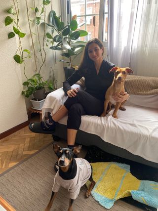 cuidador de perros, estadia y cuidado de mascota.