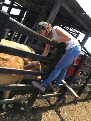 cuidador de perros, estadia y cuidado de mascota.