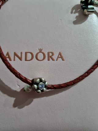 Charm pandora