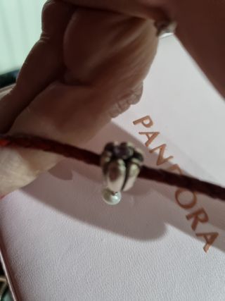 Charm pandora