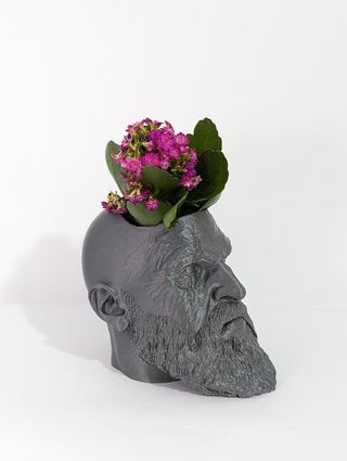 Maceta impresa 3D personajes elige el tuyo!