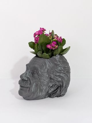 Maceta impresa 3D personajes elige el tuyo!