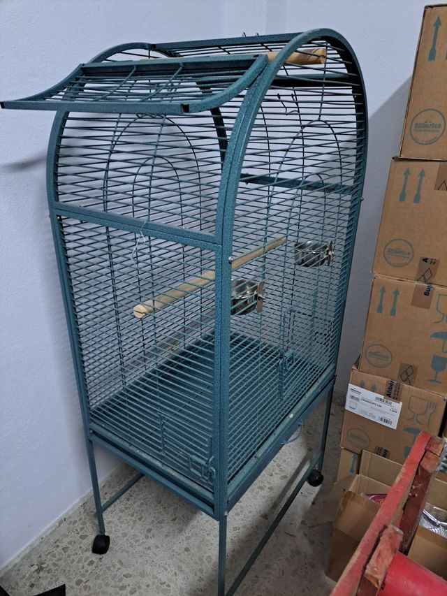 JUULA PARA LORO TEL 630 24 80 60