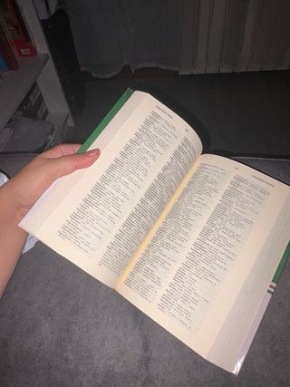 Diccionario euskera - ingles