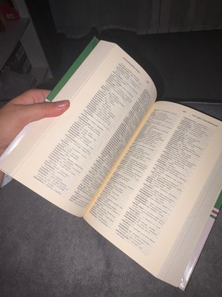 Diccionario euskera - ingles