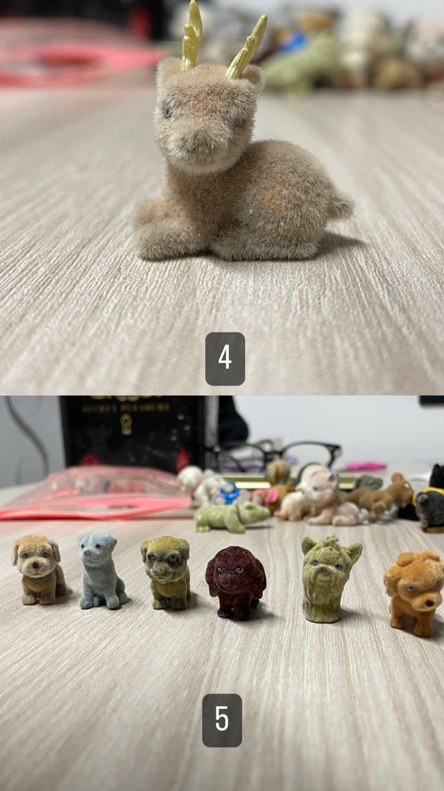 cuccioli cerca amici