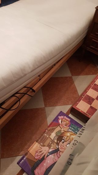 CAMA ARTICULADA CON MOTOR