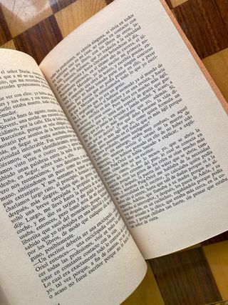 la visita Folch I Camarasa