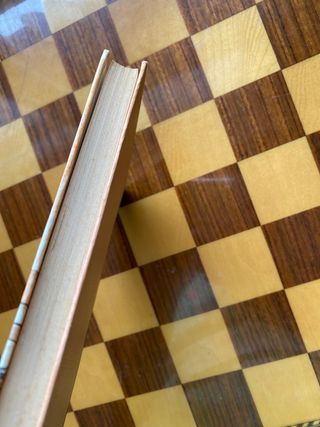 la visita Folch I Camarasa