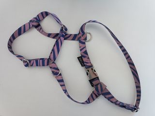 Arnés perro pequeño ajustable