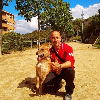 Educador canino psicología canina