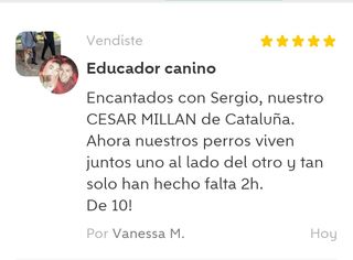 Educador canino psicología canina