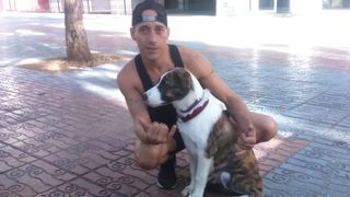 Educador canino psicología canina